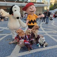 Meet & Greet do Snoopy e Charlie Brown no AUrraial